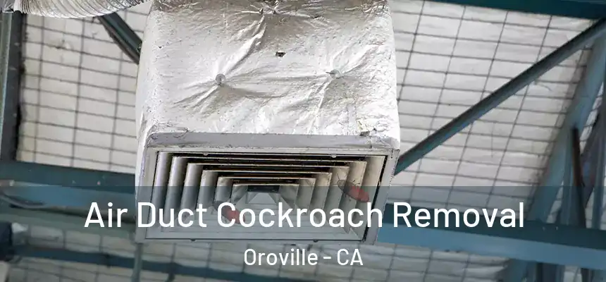  Air Duct Cockroach Removal Oroville - CA