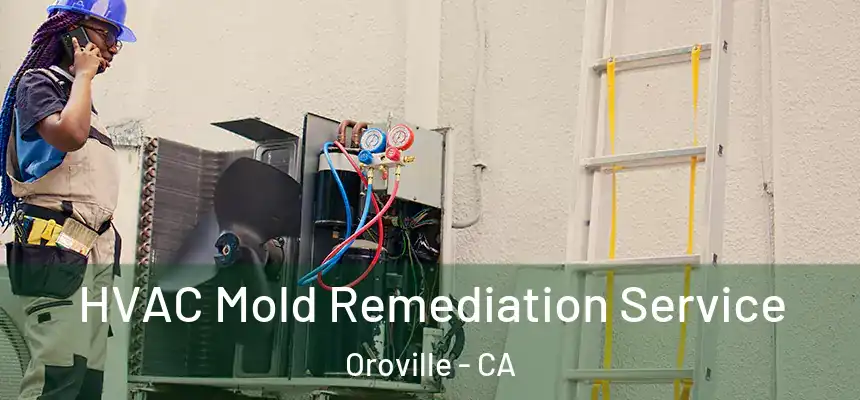  HVAC Mold Remediation Service Oroville - CA