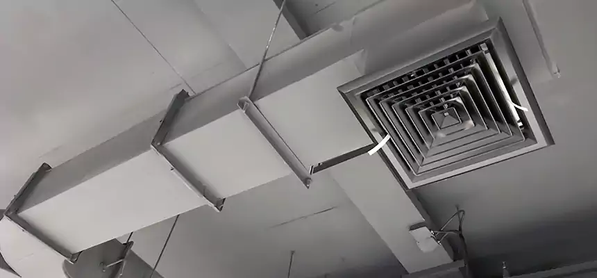 Restorative Allergy Relief Vent Cleaning – Coil, Blower & Housing Detail in Oroville