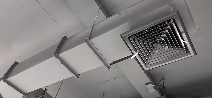 Our Pest Removal From Ducts Services in Oroville, CA