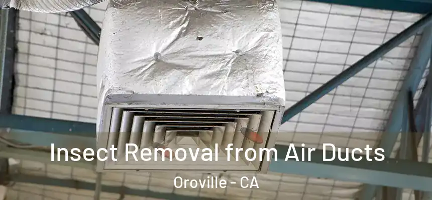  Insect Removal from Air Ducts Oroville - CA