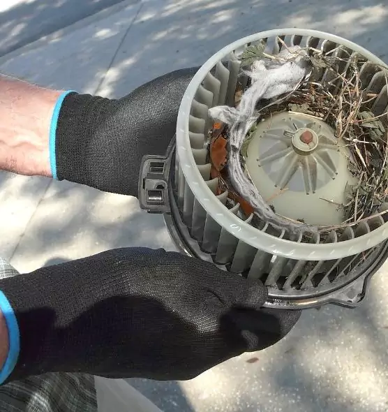 About Air Duct Rat Removal in Oroville, CA