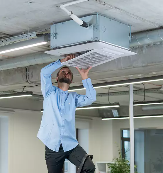 Advanced Rodent Droppings In Vents in Oroville, CA