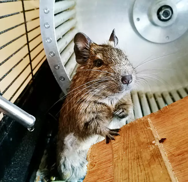 Why Homeowners & Businesses Trust Us Oroville, CA