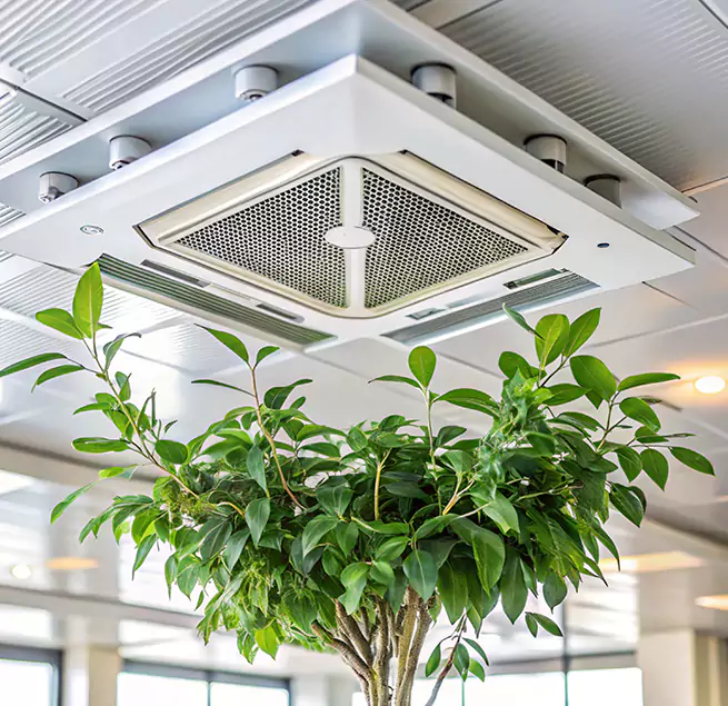 Why Homeowners & Businesses Trust Us in Oroville, CA